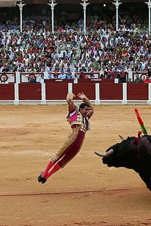 David Fandila Marín