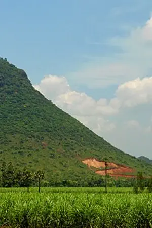 Padmanabham