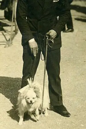 Vittorio Malpassuti