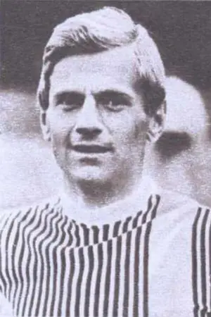 Mircea Rădulescu