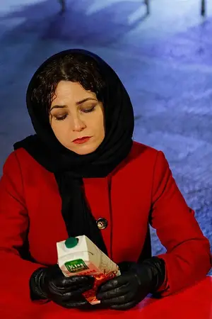 Marzieh Vafamehr