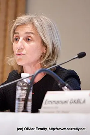 Isabelle Falque-Pierrotin