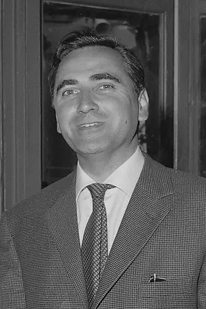 Вим Мюльдийк