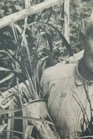 Yūkichi Iwata