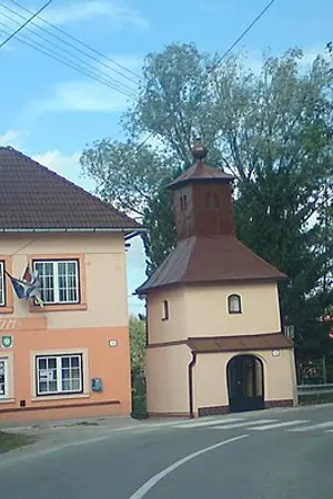 Šuja