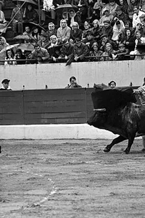 Paco Camino