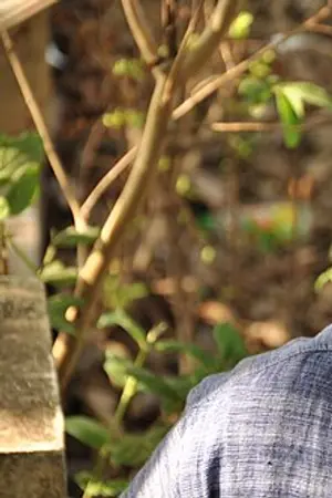 Sathish Kalathil