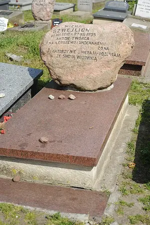 Michał Szwejlich