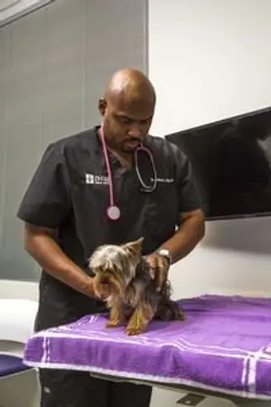 Dr. Aubrey Ross