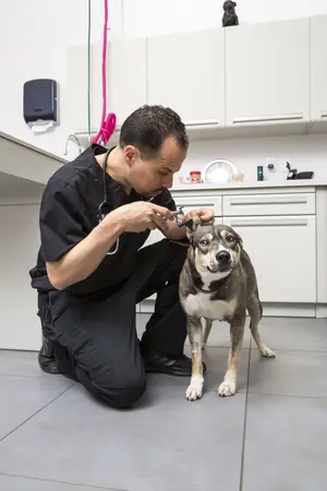 Dr. Michael Lavigne