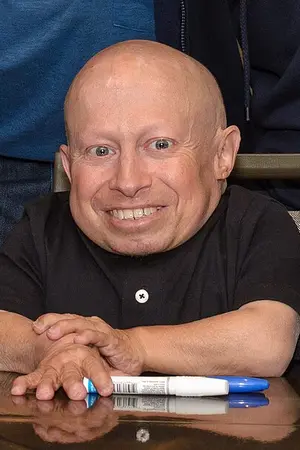 Верн Тройер