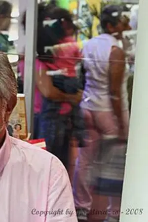 Domingos Meirelles