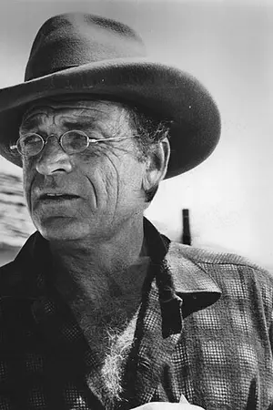 David McLean