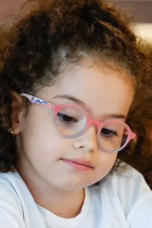 Yade Arayıcı