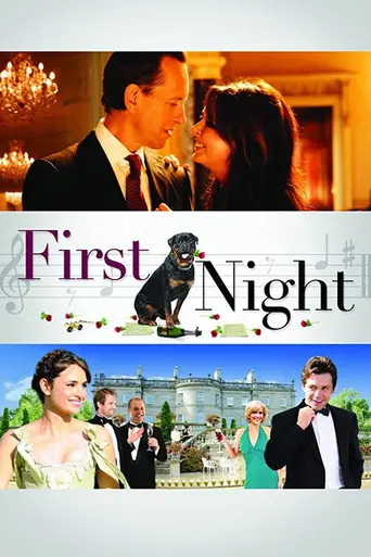 1st Night (2011)