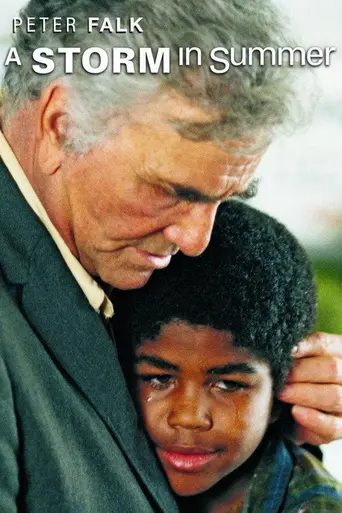 A Storm in Summer (2000)