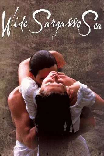 Безбрежное Саргассово море (1993)