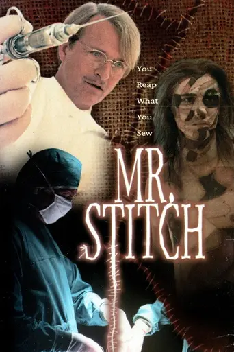 Мистер Ститч (1995)