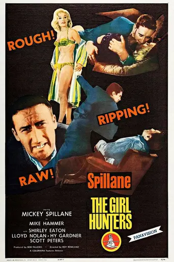 Охотники на женщин (1963)