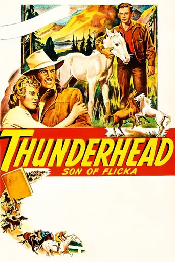 Thunderhead, Son of Flicka (1945)