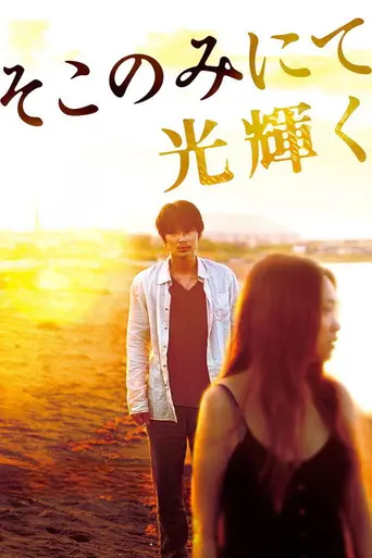 The Light Shines Only There (2014)