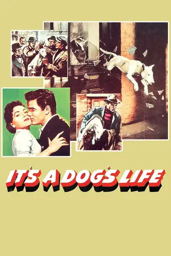 It's a Dog's Life (1955)