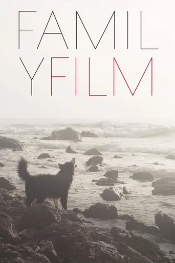 Семейный фильм (2015)