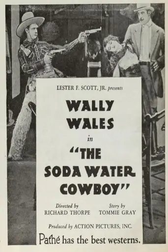 Soda Water Cowboy (1927)