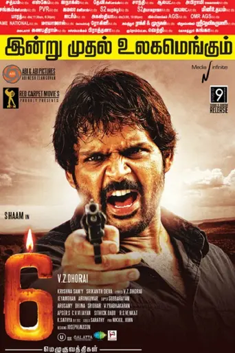 6 (2013)