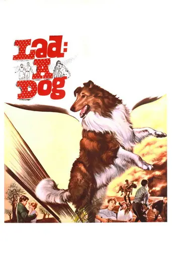 Lad, A Dog (1962)