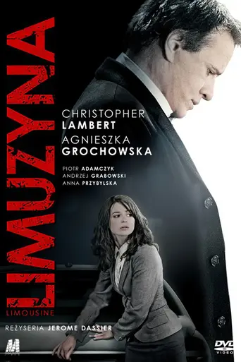 Лимузин (2012)