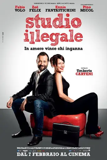Studio illegale (2013)