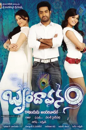 Brindavanam (2010)