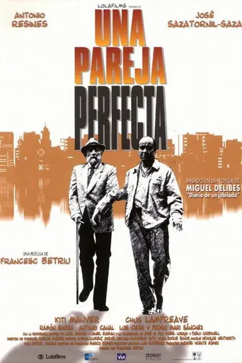 Una pareja perfecta (1998)