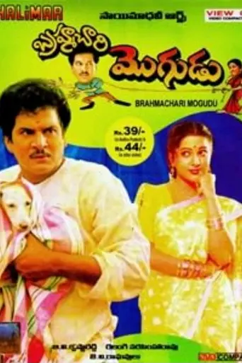 Bramhachari Mogudu (1994)
