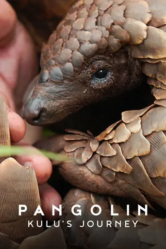 Kulu's Journey