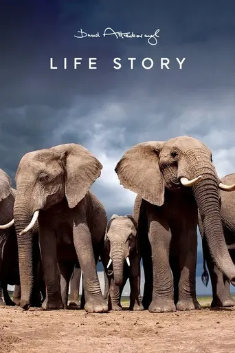 Life Story — Temporada 1