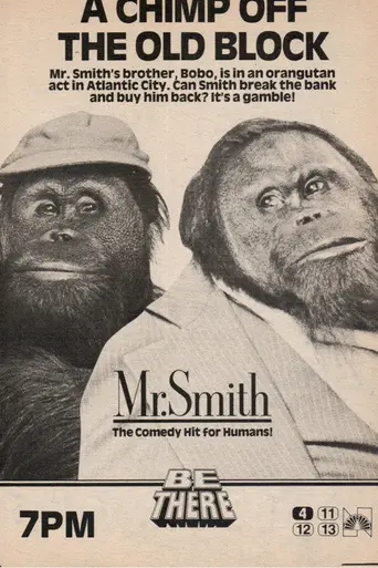 Mr. Smith (1983)