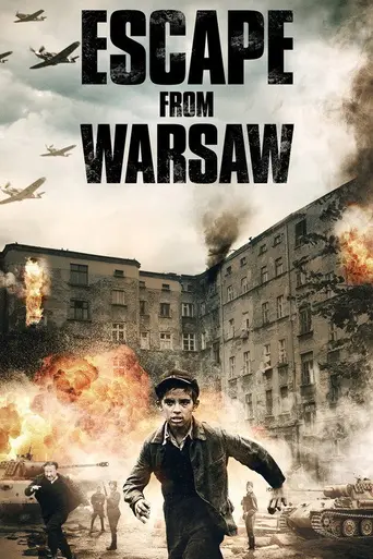 Run Boy Run (2013)