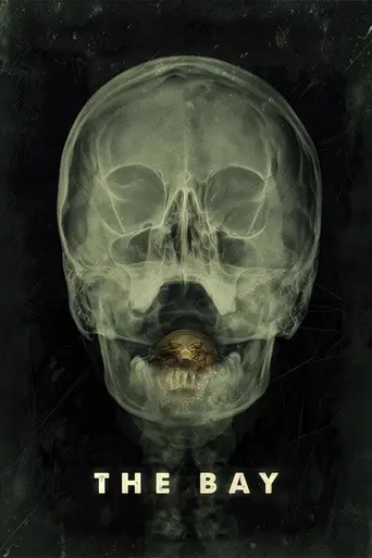 Залив (2012)