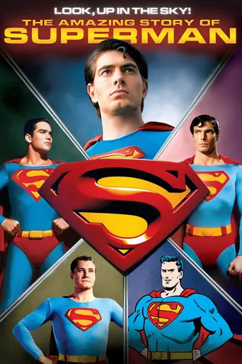 Look, Up in the Sky: The Amazing Story of Superman (2006)