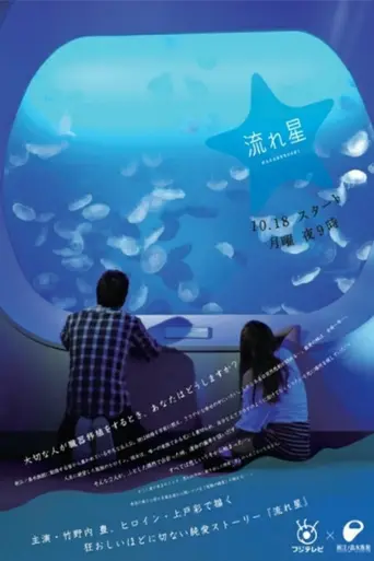 Nagareboshi (2010)