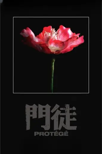 Protégé (2007)