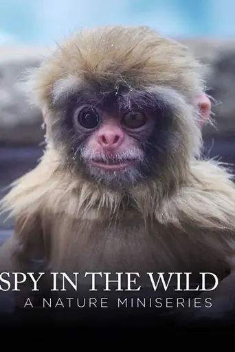 Spy in the Wild (2017)