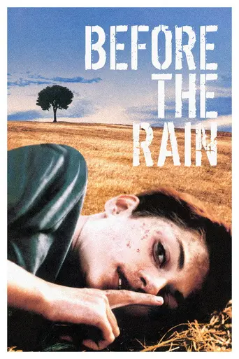 Перед дождём (1994)