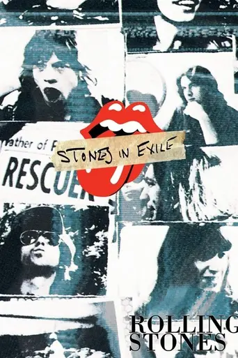 Stones in Exile (2010)