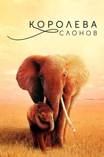 The Elephant Queen (2019)