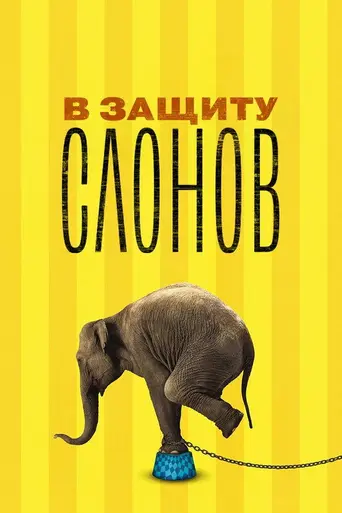 An Apology to Elephants (2013)