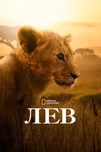 Lion (2026)