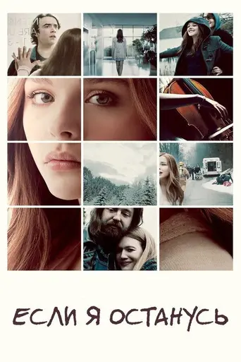 If I saty (2014)